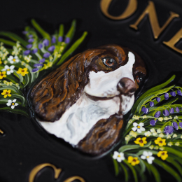 Springer Spaniel Close Up house sign