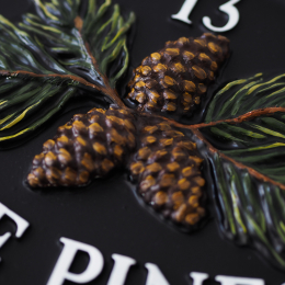 Pine Cones close-up. house sign