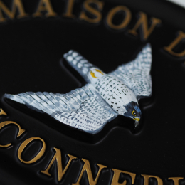 Peregrine Falcon Close Up house sign