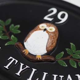 Owl Close Up house sign