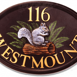 Squirrel Grey On Log With Ferns house sign