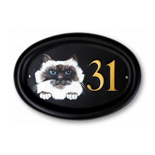 Cat Flat Painted Cat House Sign house sign