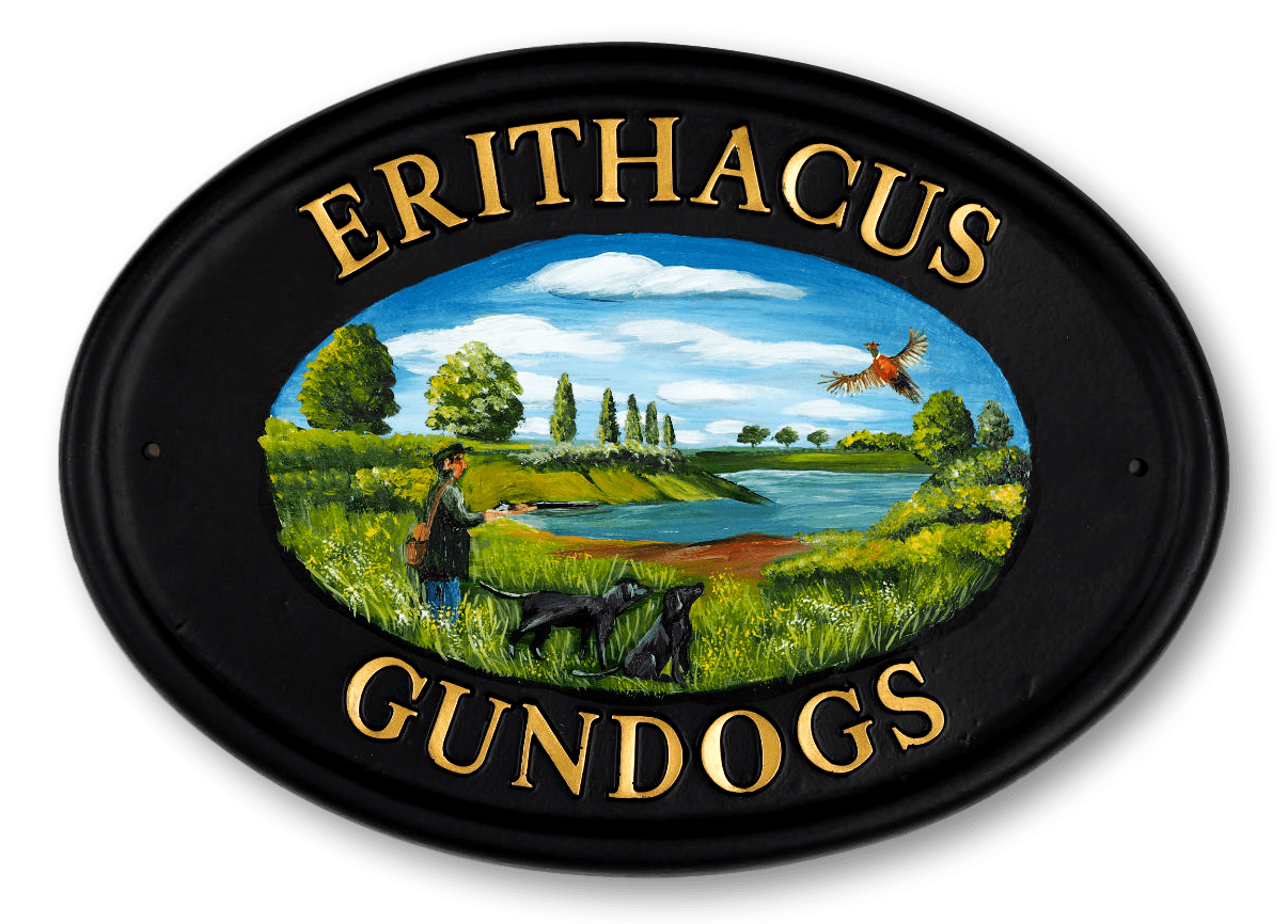 Shooting Scene & Labradors Flat Painted house sign