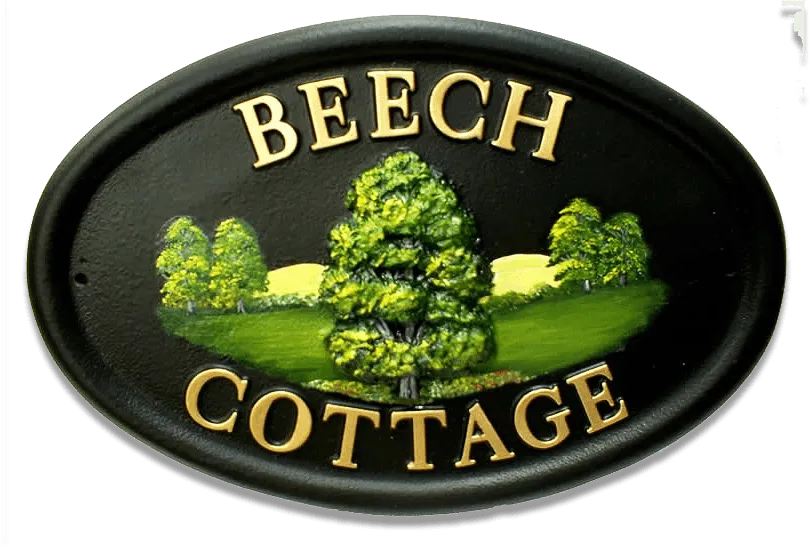 Beech Small