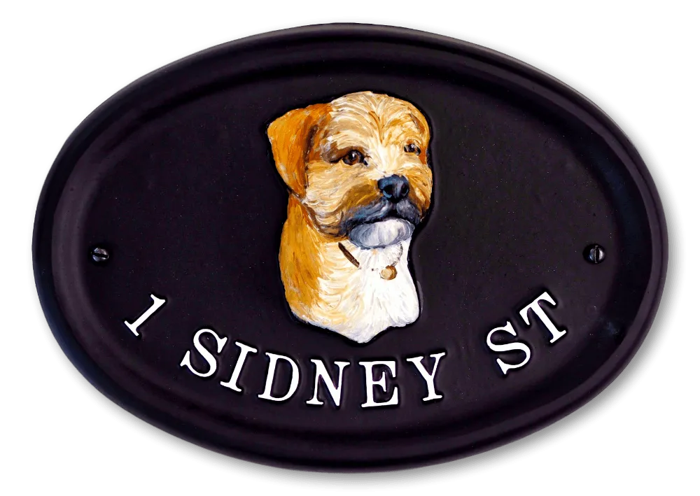 Border Terrier