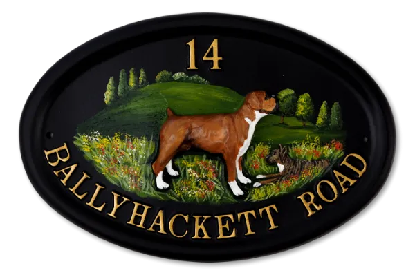Boxer Full