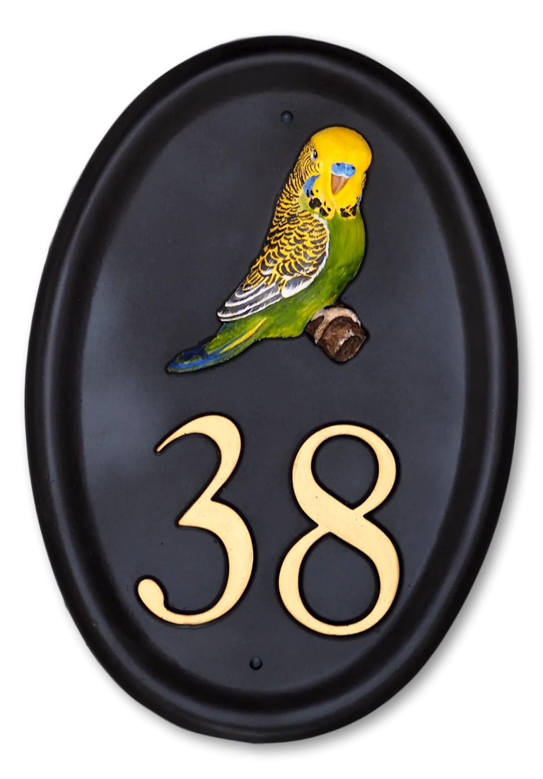 Budgie