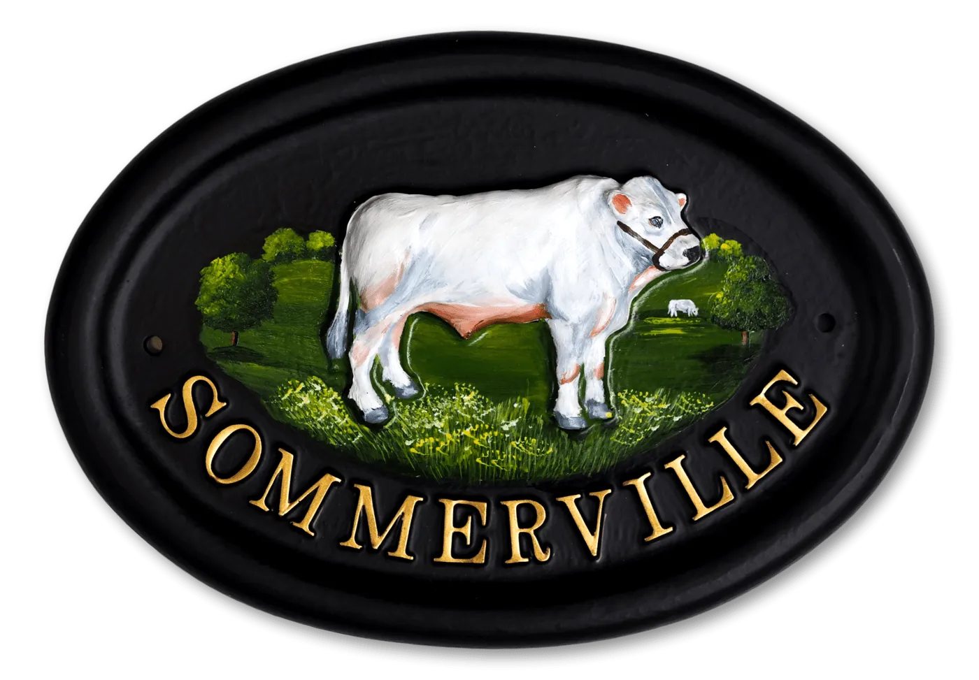 Bull Charolais