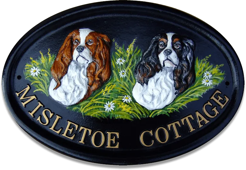 Cavalier King Charles Cavalier