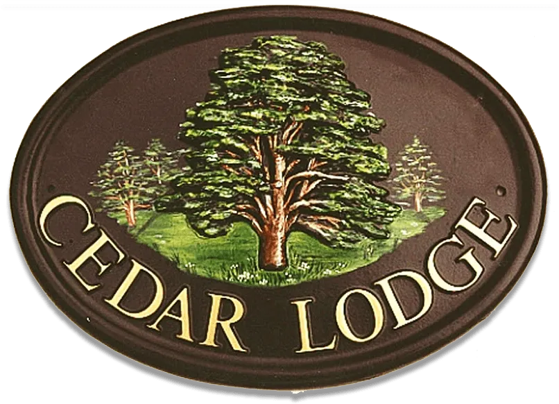 Cedar