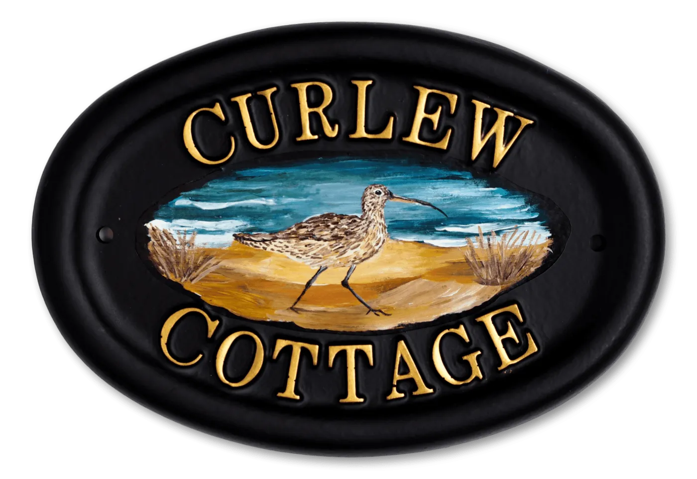 Curlew Flat Painted