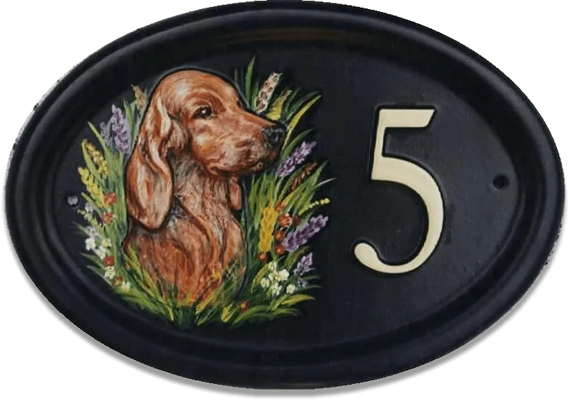 Irish Setter Head