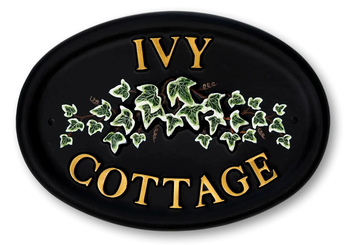 Ivy