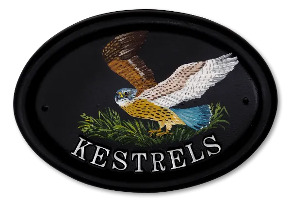 Kestrel Flat Painted