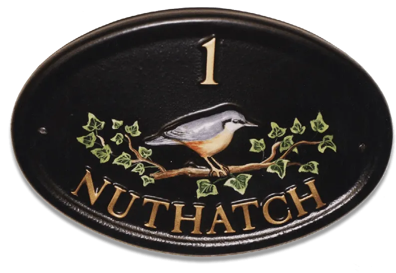 Nuthatch