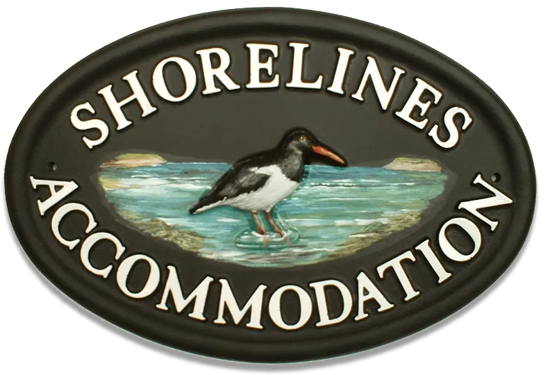 Oyster Catcher