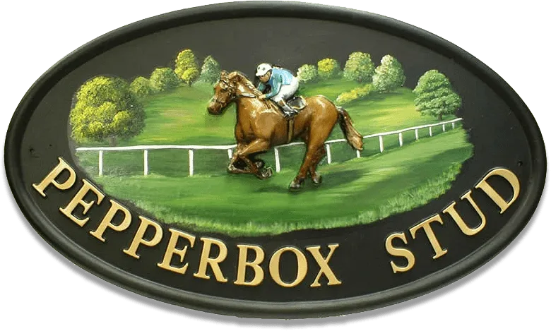 Race Horse