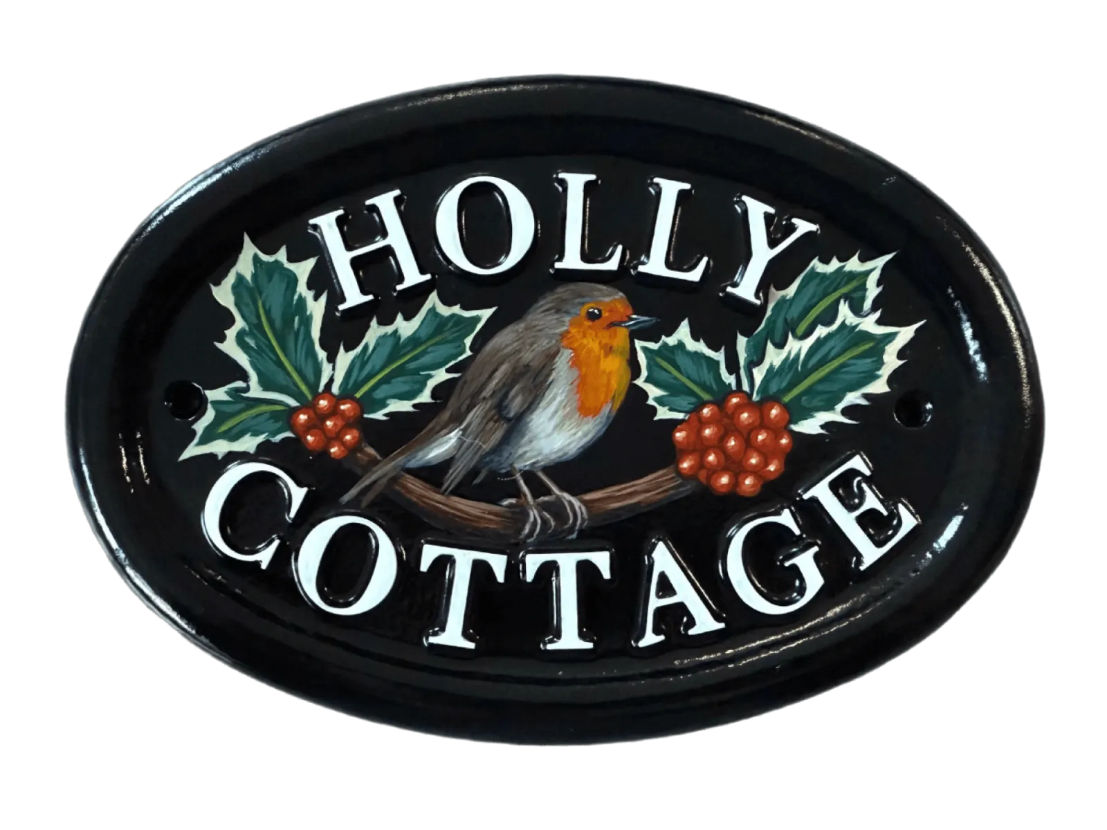 Robin on Holly Tree Branch