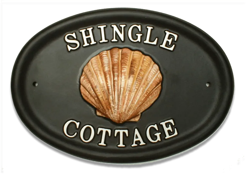Shell Scallop