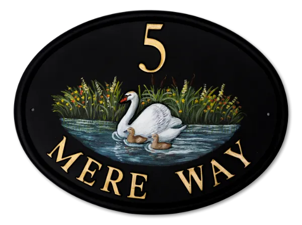 Swan & Cygnets
