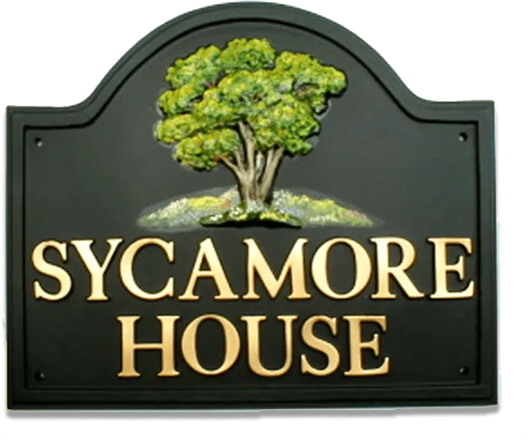 Sycamore
