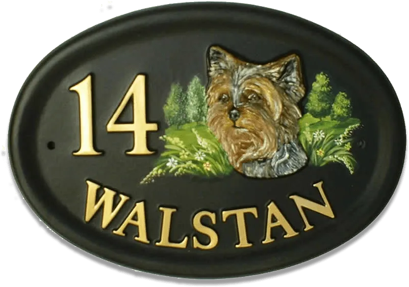 Yorkshire Terrier Head