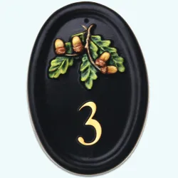 Acorns - F2b
