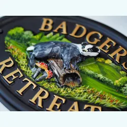 Badger close-up. - A2a-2