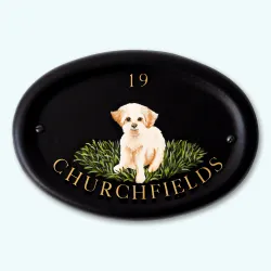 Bichon Frise Flat Painted - D17fpa