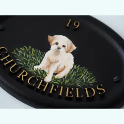 Bichon Frise Flat Painted close-up. - D17fpa-2