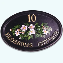 Blossom - F11c