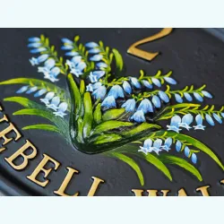 Bluebells close-up. - F12a-2