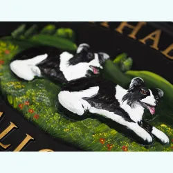 Border Collies Close Up - D20a-close