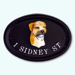 Border Terrier - D23a