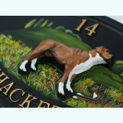 Boxer Full Close Up - D27a-close