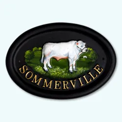 Bull Charolais - A9a