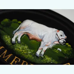 Bull Charolais Close Up - A9a-1