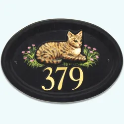Cat Tabby - C1c
