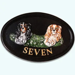 Cavalier King Charles Cavaliers - D31b