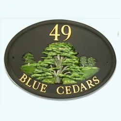 Cedar