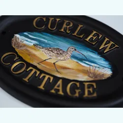 Curlew Flat Painted Close Up - B23fpa-1