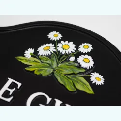 Daisies Close Up - F35a-close