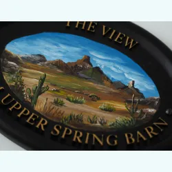 Desert Scene close-up. - M60fpa-2