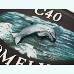 Dolphin Close Up - W25a-close