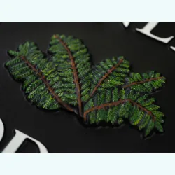 Ferns Close Up - F39a-close