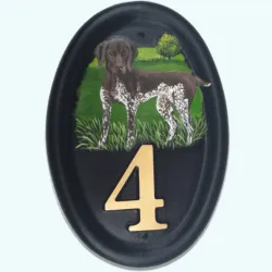 German Pointer - D54fpb