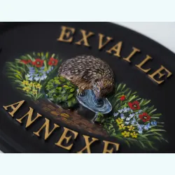 Hedgehog Close Up - A46a-2