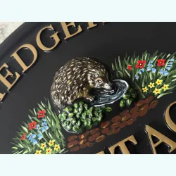 Hedgehog Close Up - A46a-2