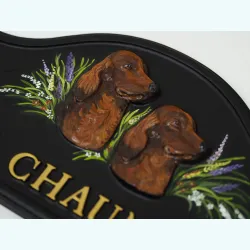 Irish Setter Heads Close Up - D62c-1