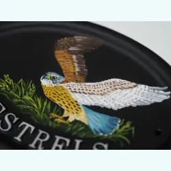 Kestrel Flat Painted Close Up - B50fpa-close